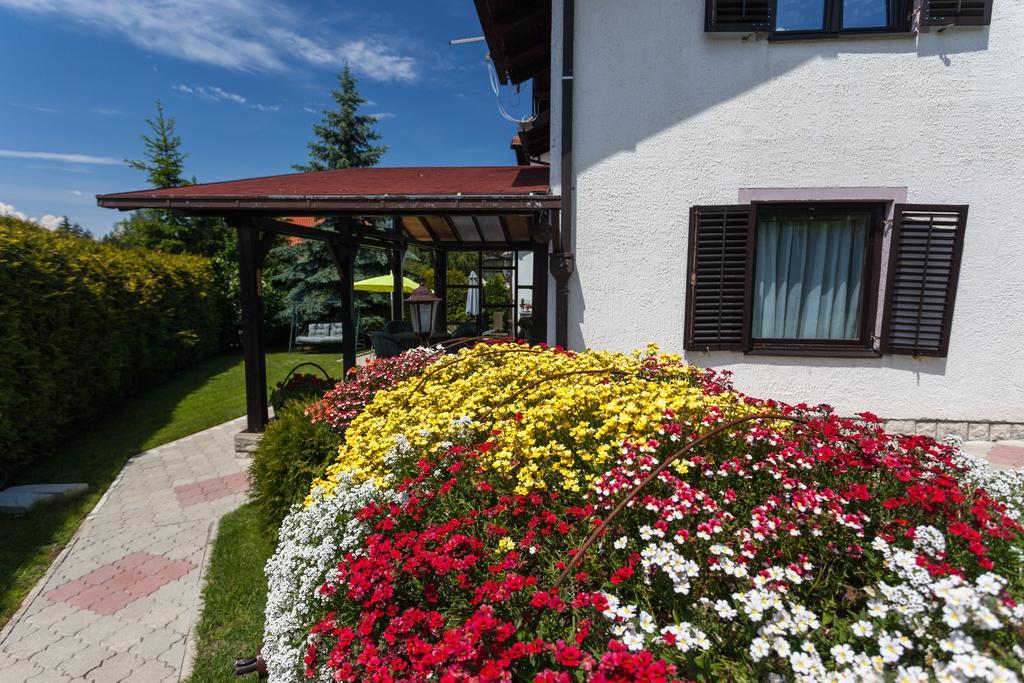 Vila Aleksandra Zlatibor Exterior photo